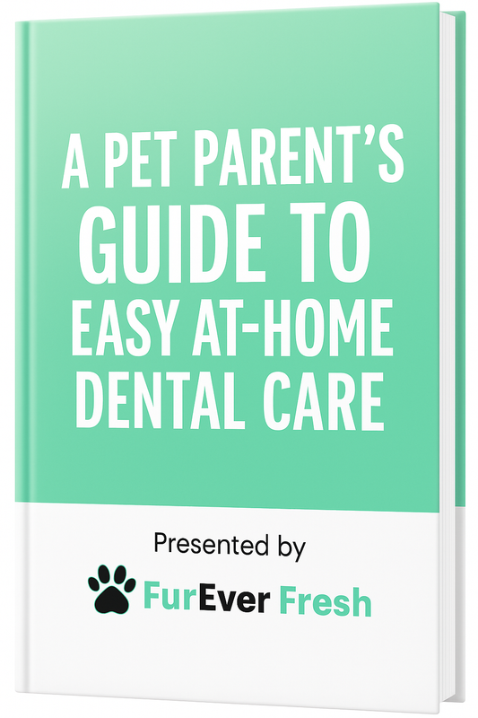 FREE Bonus eBook – A Pet Parent’s Guide to Easy At-Home Dental Care